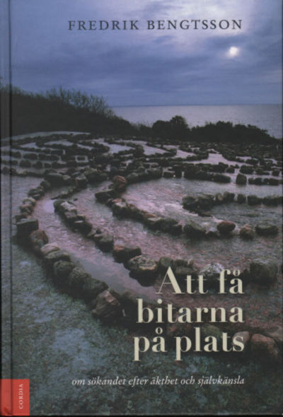 ATT FÅ BITARNA PÅ PLATS. Om sökandet efter äkthet…