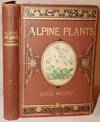 Alpine Plants: Figures and Descriptions of the Most Striking and Beautiful of the Alpine Flowers