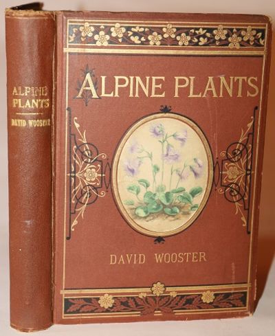 Alpine Plants: Figures and Descriptions of the Most Striking and Beautiful of the Alpine Flowers