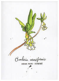 Blank Journal - Indian Plum Osoberry Botanical Cover Art