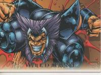 cover of Cromo E001320: Trading Cards. Wildmane and Bezerkers nº 44