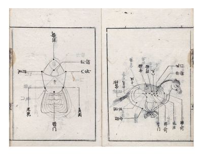 Nichiyō ryōba iben 日用療馬醫便 [Convenient Readings in Equine Medicine for Daily Use]