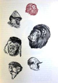 image of THE DESCENT OF MAN & SELECTION IN RELATION TO SEX