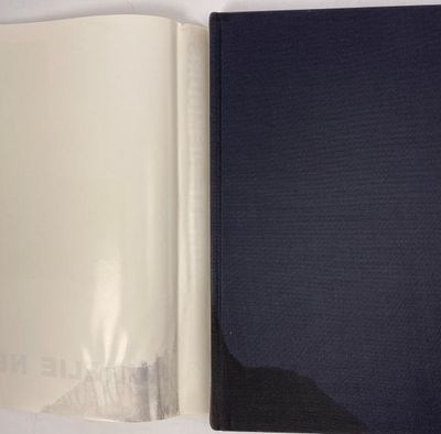 Aurelie Nemours. Avec des textes de Gabriele Kübler et Gottfried Honegger. (photo 2)