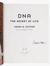 View Image 2 of 2 for DNA. The Secret of Life Inventory #373058