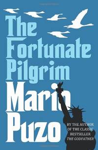 image of The Fortunate Pilgrim