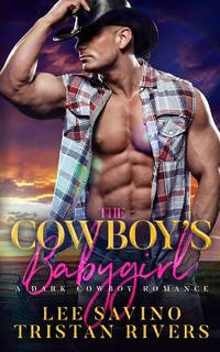 Cowboy's Babygirl: A dark cowboy romance