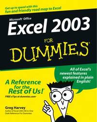 Excel 2003