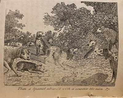 [DOGS - Early American Illustrations]. The Council of Dogs: illustrated with suitable engravings