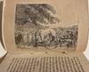 [DOGS - Early American...; (photo 3)