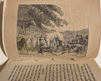 [DOGS - Early American...; (photo 3)