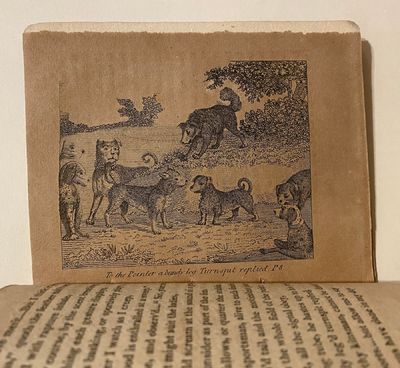 [DOGS - Early American...; (photo 6)