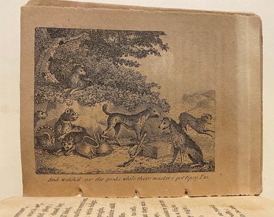 [DOGS - Early American...; (photo 7)