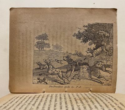 [DOGS - Early American...; (photo 9)