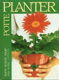 Potteplanter. Potte-plante-miljø