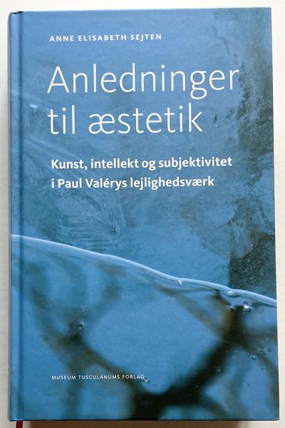 Anledninger til æstetik. Kunst, intellekt og…