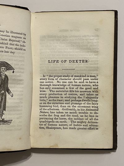 [AMERICAN "SHITPOST" 1852]. Life of...; (photo 9)