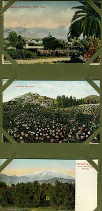 image of 6 Unused Color Postcards, Pasadena California