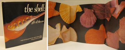 The Shell: Gift of the Sea.