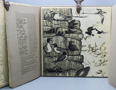 New York: Red Angel Press, 1981 One of 100 copies printed by Ronald Keller at the Red Angel Press in...