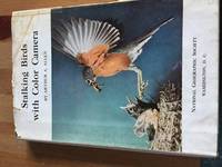 Stalking Birds with Color Camera