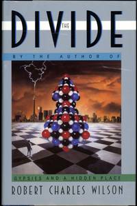 image of THE DIVIDE
