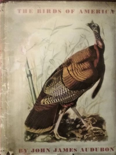 Audubon HC Alb Eng
