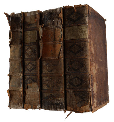 Kupfer-Bibel in welcher die Physica sacra oder…