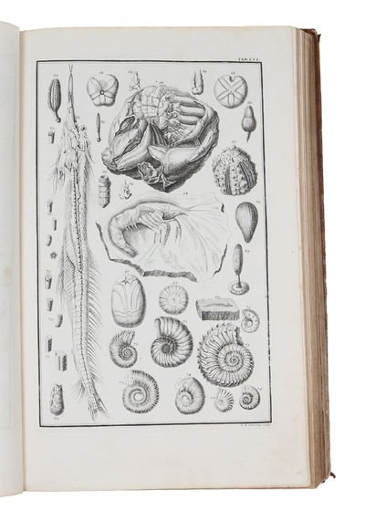 Kupfer-Bibel in welcher die Physica sacra oder geheiligte Natur-Wissenschaft derer in heil. 4 vols. (photo 13)
