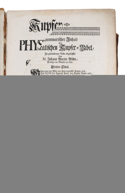 Kupfer-Bibel in welcher die Physica sacra oder geheiligte Natur-Wissenschaft derer in heil. 4 vols. (photo 7)