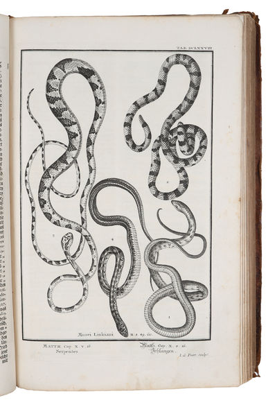 Kupfer-Bibel in welcher die Physica sacra oder geheiligte Natur-Wissenschaft derer in heil. 4 vols. (photo 8)