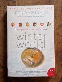 Winter World