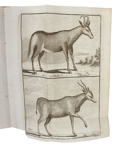 Resa till Goda Hopps - Udden, Södra Pol-kretsen och omkring Jordklotet, samt till Hottentott- och Caffer-landen, Åren 1772-76. Första Delen. (photo 4)