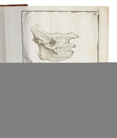 Resa till Goda Hopps - Udden, Södra Pol-kretsen och omkring Jordklotet, samt till Hottentott- och Caffer-landen, Åren 1772-76. Första Delen. (photo 5)