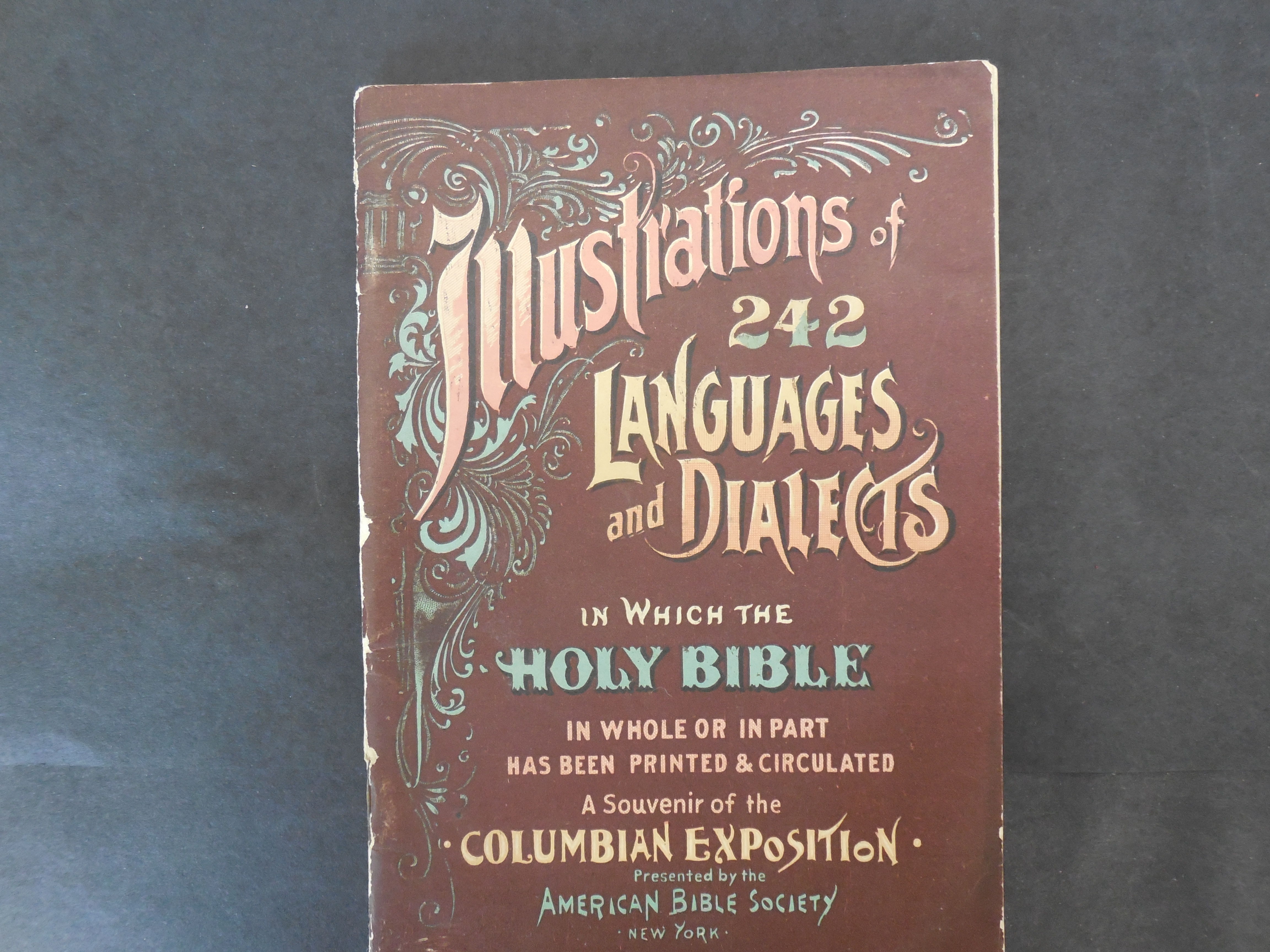 Illustrations of the Different Languages and Dialects in Which the Holy