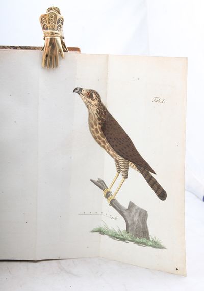 Ornithologia Svecica. I-II. (photo 2)