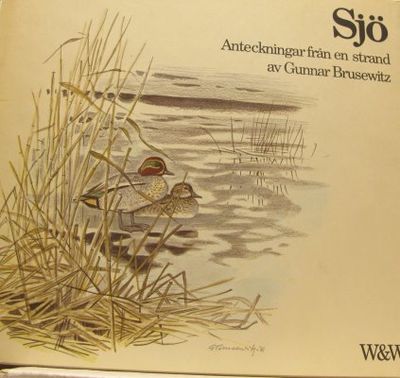 Sjö. Anteckningar från en strand.