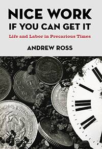 Nice Work If You Can Get It: Life and Labor in Precarious Times: 8 (NYU Series in Social and...