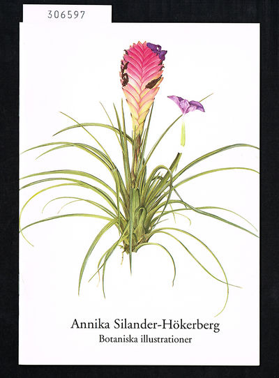 Annika Silander-Hökerberg. Botaniska…