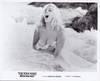 The Pink Pussy: Where Sin Lives [Harassed] (Three original photographs of Libertad Leblanc from the 1964 film)