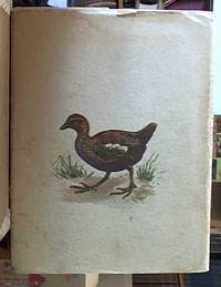 image of Birds of Australia in Colour