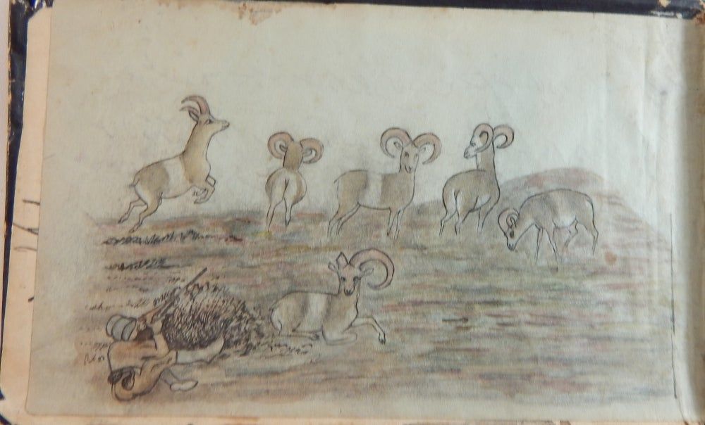 Qashquai (Kashkai) Sketch Book