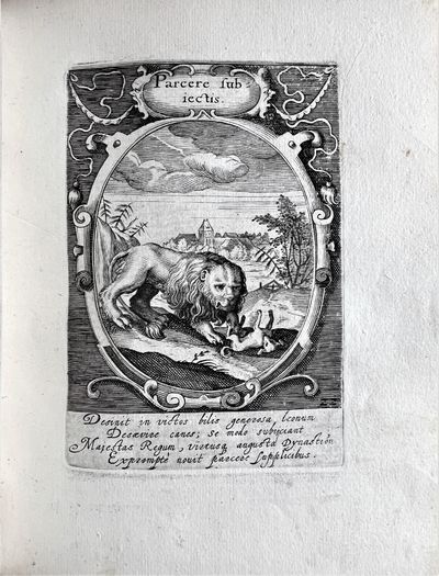 Emblemata politica in aula magna Curiae Noribergensis depicta