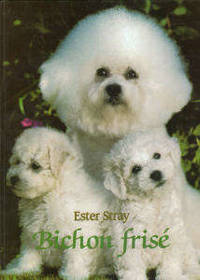 Bichon frise