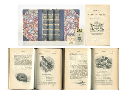 A History of British Birds. Illustrated by 520…