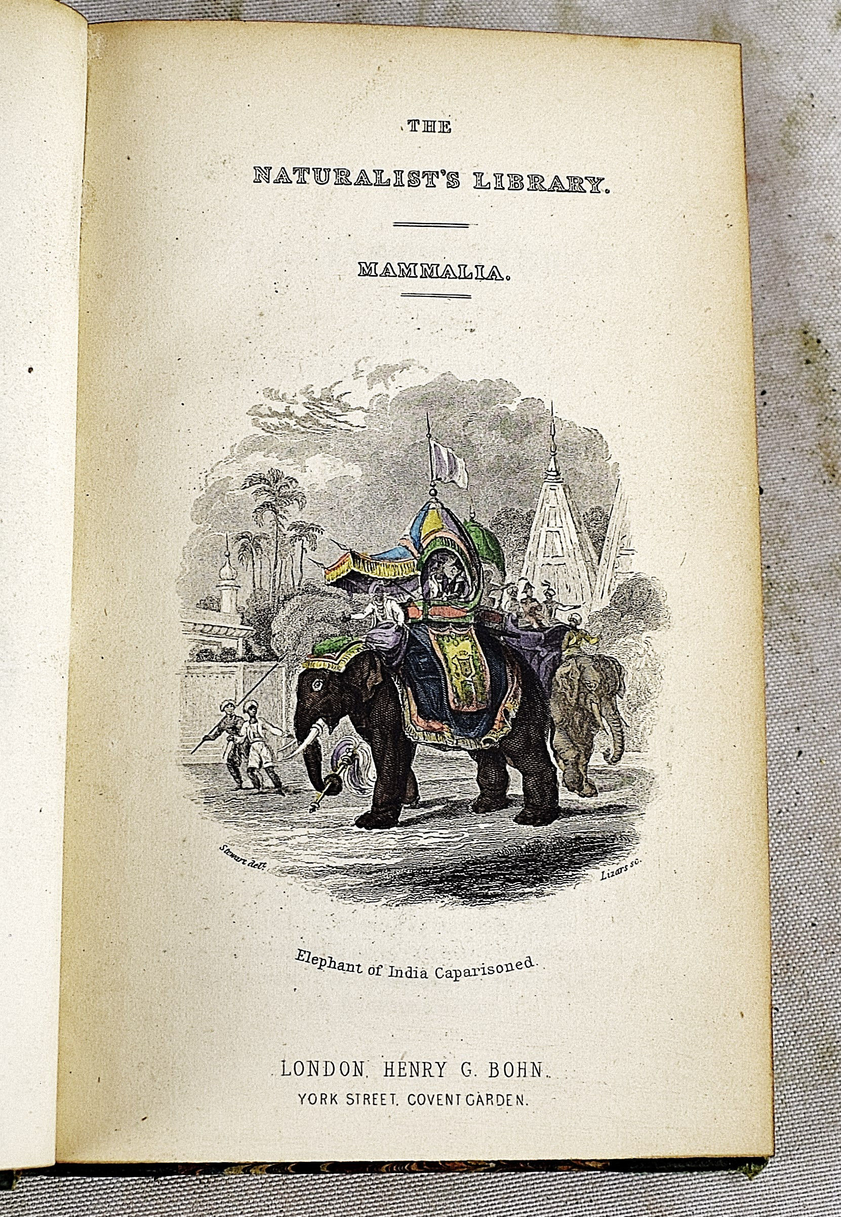 ウィリアム・ホーム・リザーズNaturalist Library Lizars Lot - William Home Lizers: The Naturalist's Library