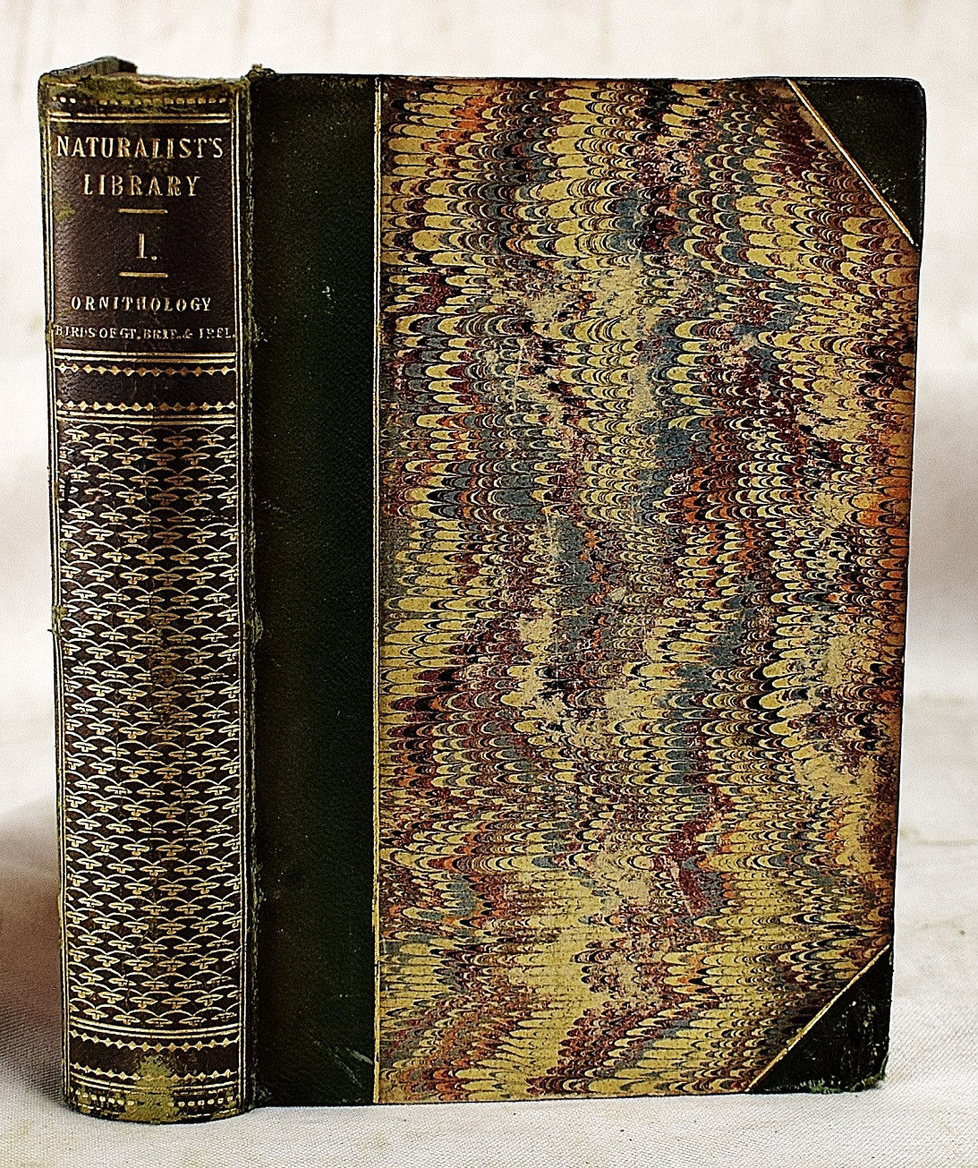 ウィリアム・ホーム・リザーズNaturalist Library Lizars Lot - William Home Lizers: The Naturalist's Library