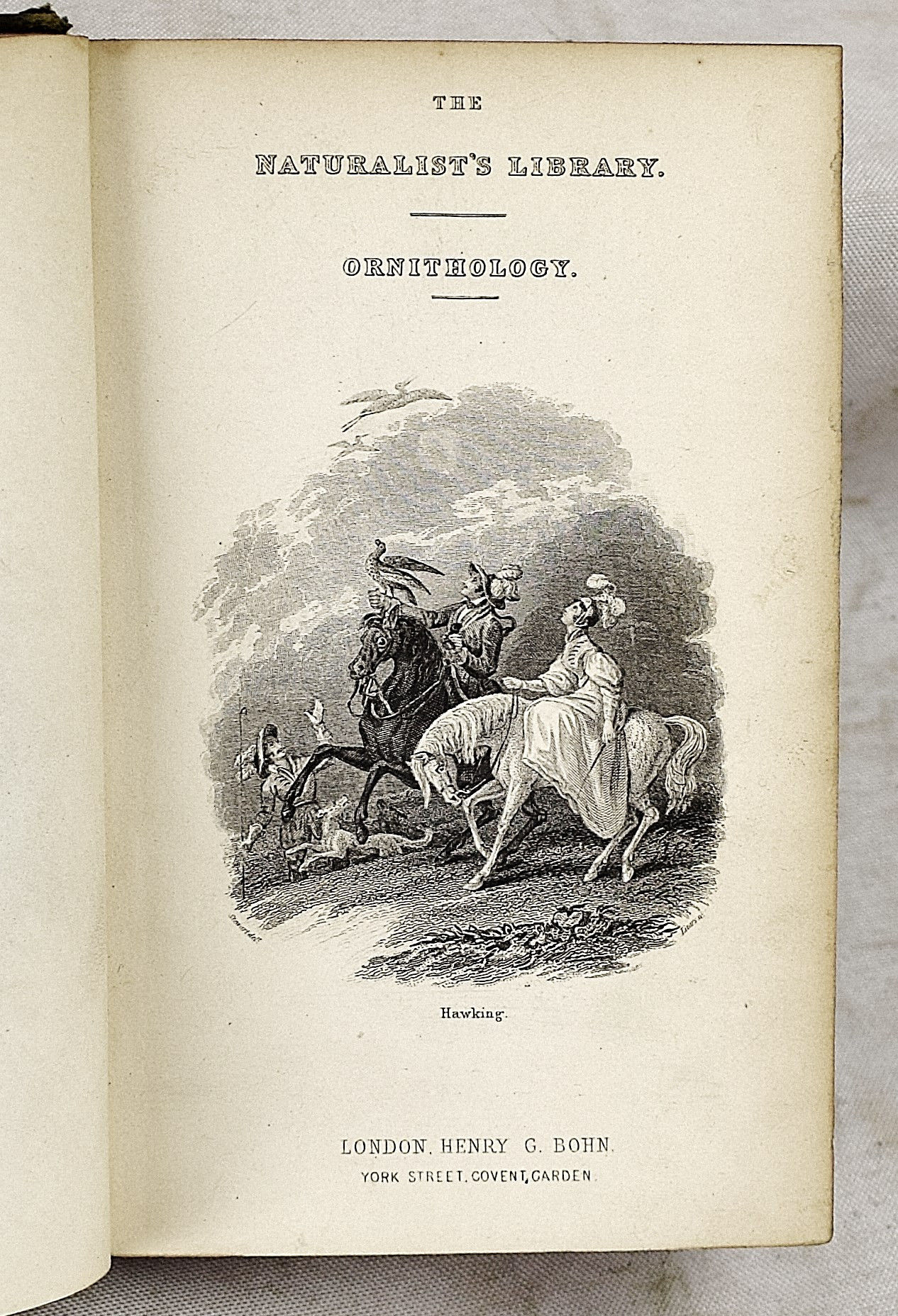 ウィリアム・ホーム・リザーズNaturalist Library Lizars Lot - William Home Lizers: The Naturalist's Library