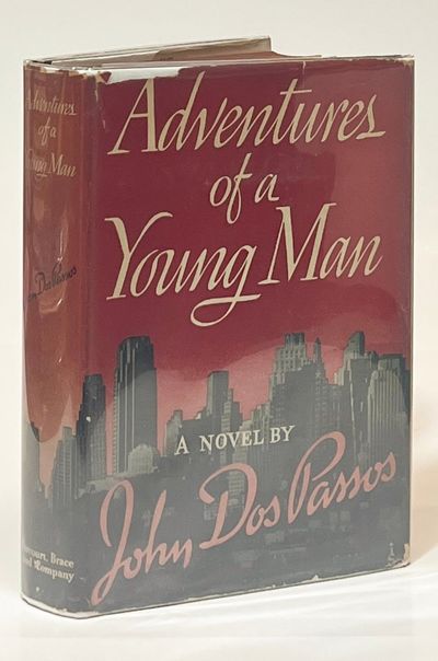Adventures of a Young Man