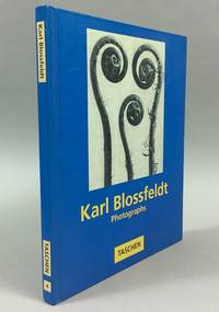 Karl Blossfeldt: photographs